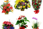 Lagoa Santa MG floricultura flores Lagoa Santa buquês, ramalhete, cesta de café da manhã e coroas de flores Lagoa Santa