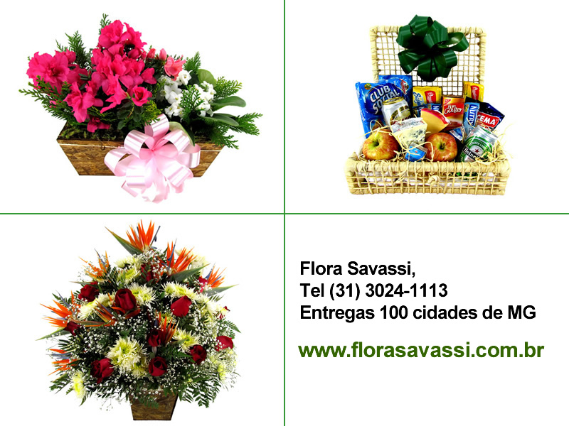Belo Horizonte MG floricultura Ramalhetes de gérberas, Ramalhetes  de crisântemos, orquídeas, lírios, begônias  em BH