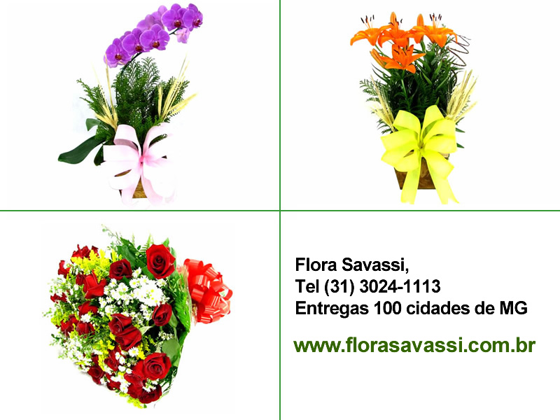 Nova Lima MG floricultura flores e cesta de café condomínio Estância Del Rey, Estância Serrana, Jardins de Petrópolis