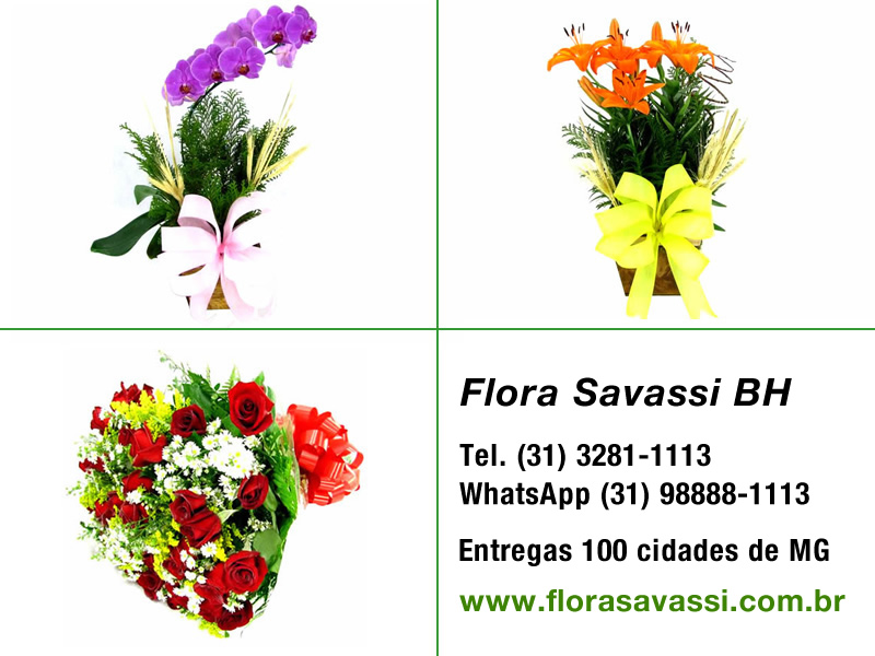 Floricultura BH flores bairro Santa Rosa, Santa Terezinha, São Francisco, São José, São Luíz, Sarandi, UFMG em BH