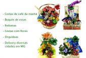Maternidade Hospital Mater Dei BH, floricultura entrega flores presente, arranjos florais e orquídeas em Belo Horizonte