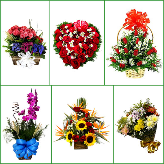 Santa Luzia MG floricultura flores, arranjos florais, orquídeas, buquês, ramalhetes coroa de flores em Santa Luzia MG