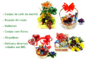 Condomínio Valle da Serra, Condomínio Tupinambás, Condomínio Bosque Club em Betim MG, floricultura flora flores cesta de café da manhã