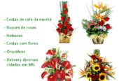 Condomínio Estancia das Amendoeiras, Condomínio Condados Da Lagoa em Lagoa Santa MG, floricultura flora flores cesta de café da manhã