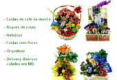 Condomínio Vale dos Cristais, Condomínio Vale do Sereno em Nova Lima MG, floricultura flora flores cesta de café da manhã 
