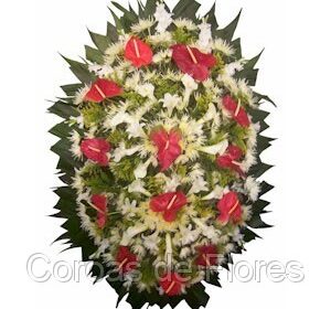 MODELO-MARCA-DAAGUA-PENSEI-EM-COLOCAR-O-SITE-WWW.COROASDEFLOR.COM_.BR_