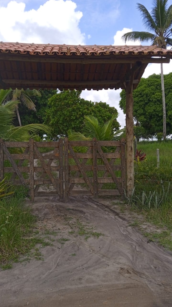 VENDO TERRENO PRÓXIMO DE MUCURI