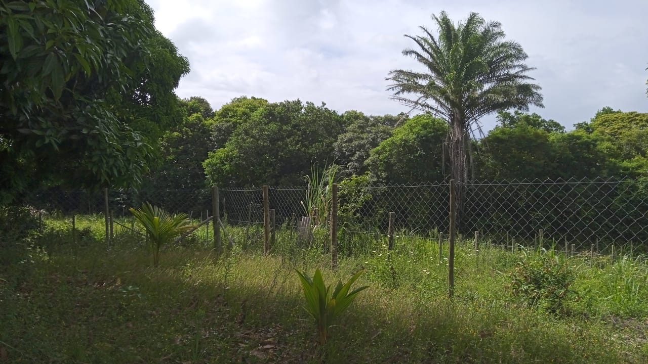 VENDO TERRENO PRÓXIMO DE MUCURI